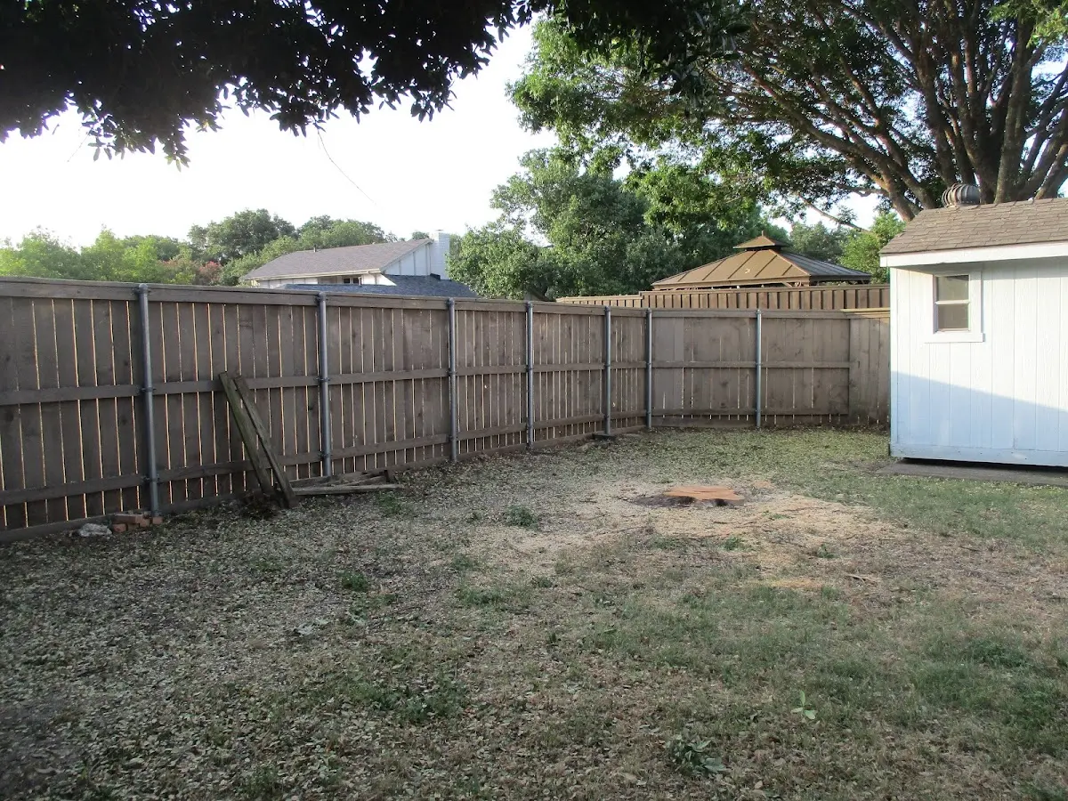 Cleared yard after professional tree removal in Nunam Iqua